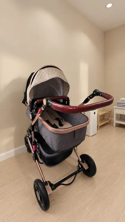 Коляска 3 в 1 Lorelli Alba