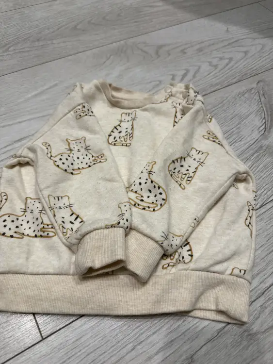 Костюм с легким начесом до 9-10 месяцев