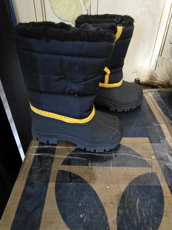 Зимние сапоги