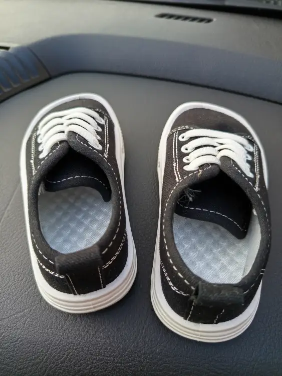 Кеды 26 размер (15.5 см стелька)