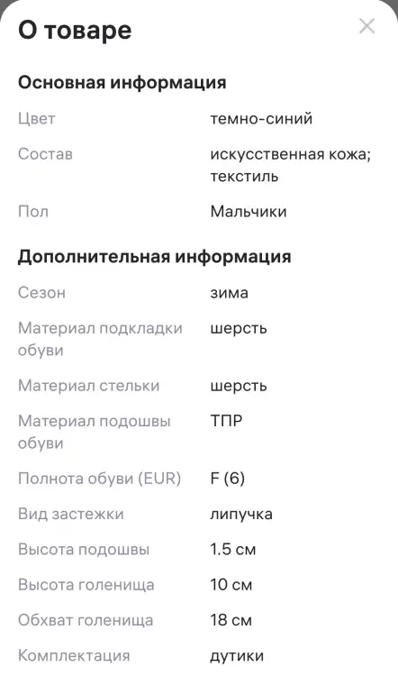 Зимние ботинки