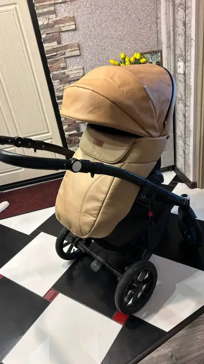 Коляска Riko Basic Ozon 2/1