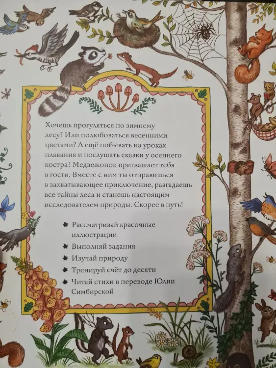 Новая книга Виммельбух