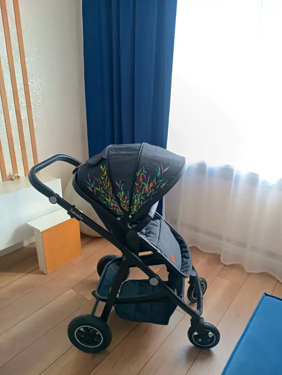 Коляска  Lionelo Amber 2  в 1