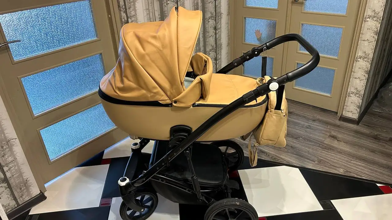 Коляска Riko Basic Ozon 2/1