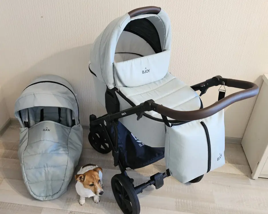 Детская коляска BJOY MIA (2in1)