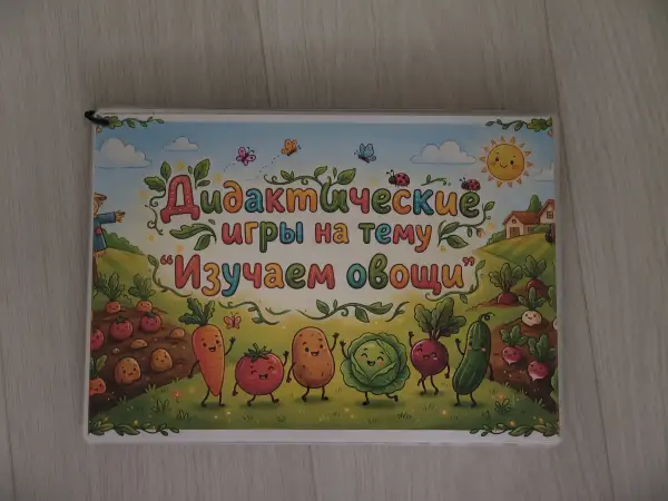 Дидактические игры на липучках